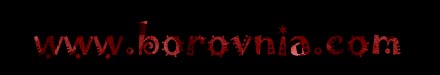 www.borovnia.com